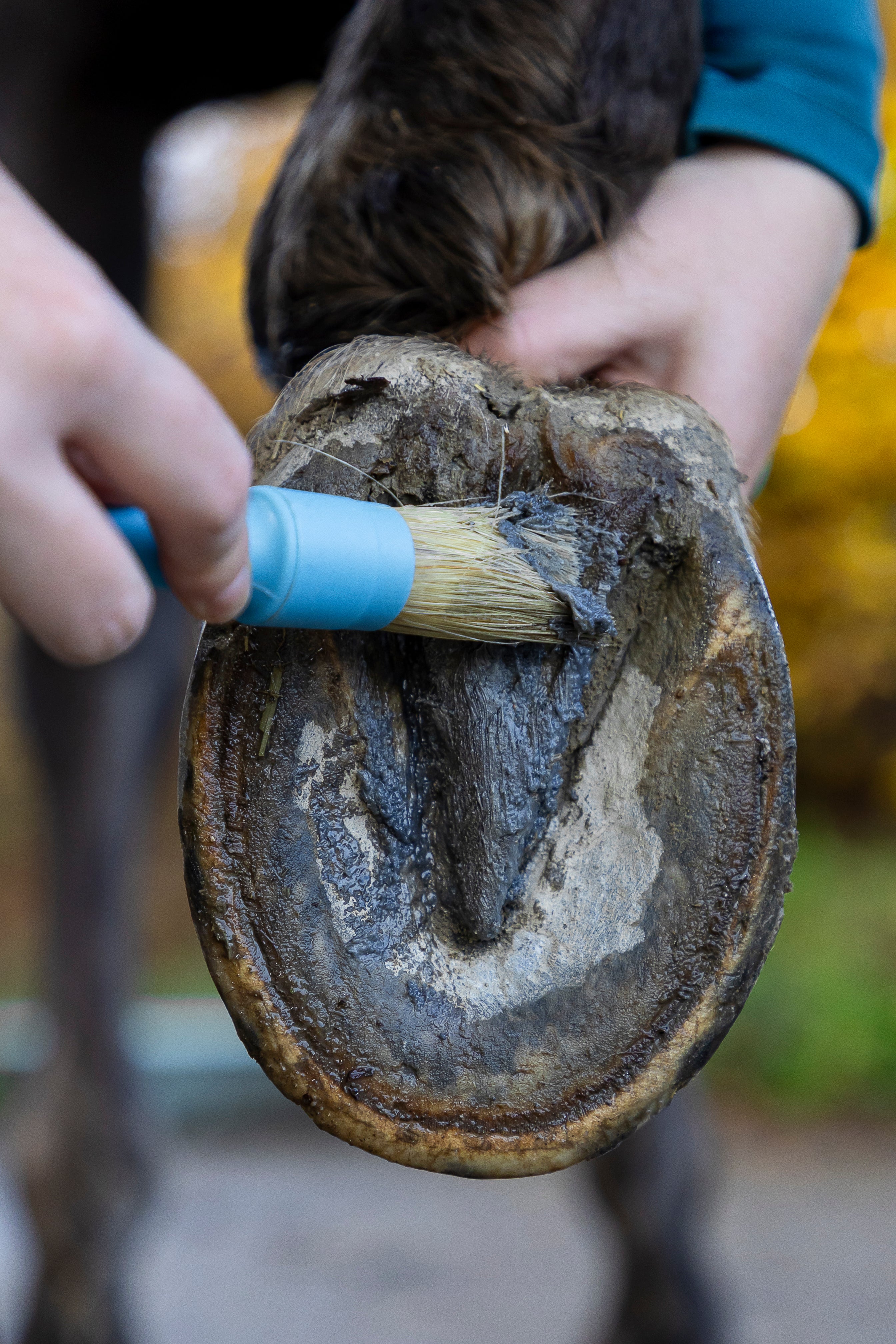 Baume Tiva - Soigne & purifie la pourriture de fourchette