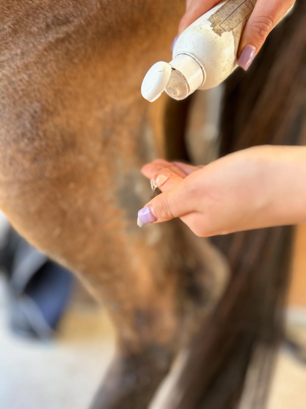 HippCura - Bobos, dermite, gale de boue & coups de soleil