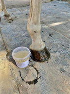 Soin Vera - pieds secs et cassants