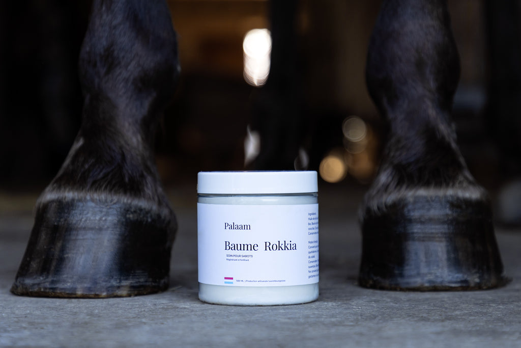 Baume Rokkia - Hydrate, régénère & fortifie la corne