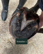 Baume Lia - Infections du pied