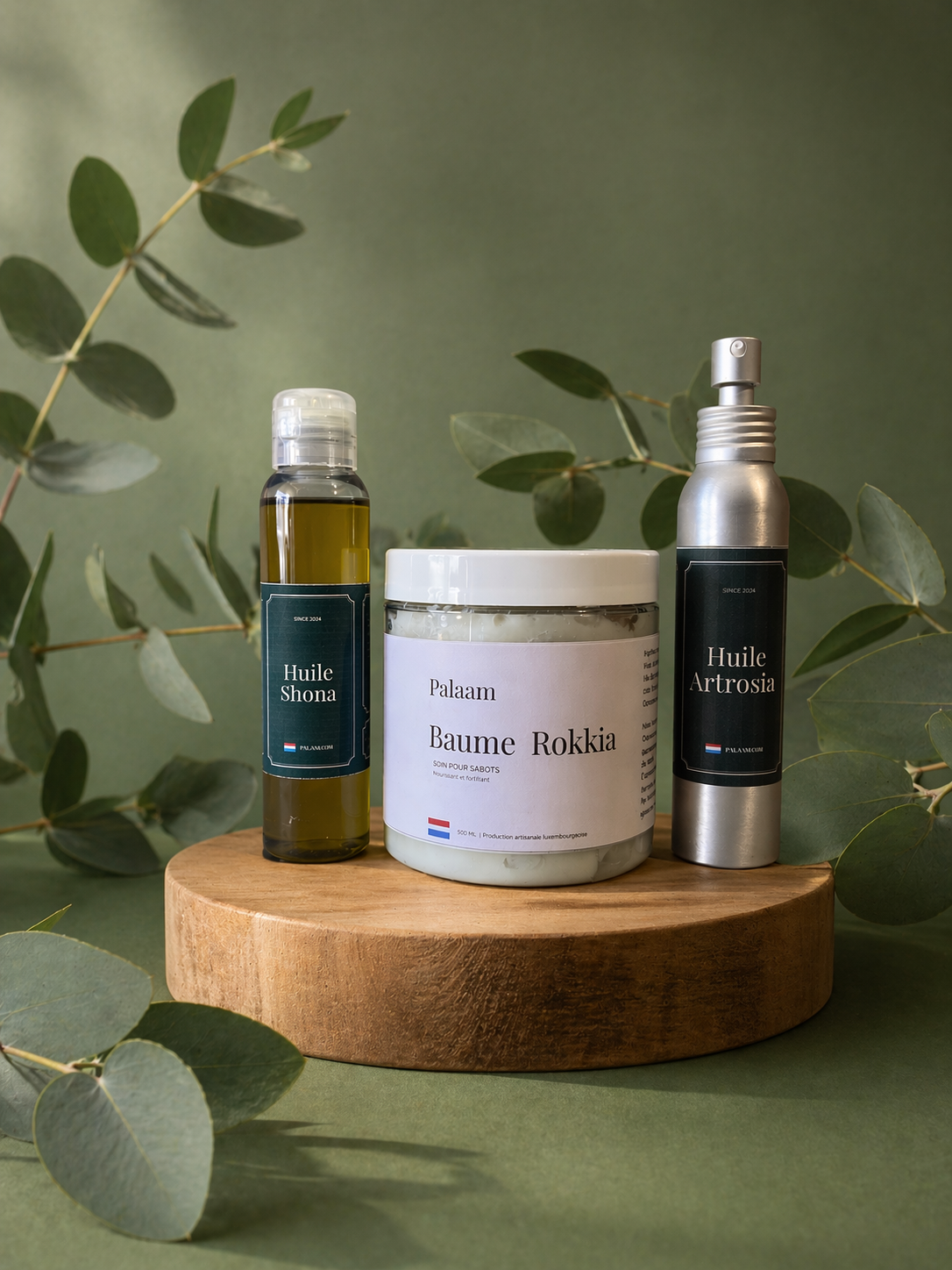 Routine performance & confort du cheval de sport 🐴