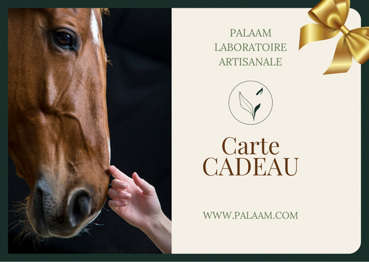 Carte cadeau Palaam Soins cheval 