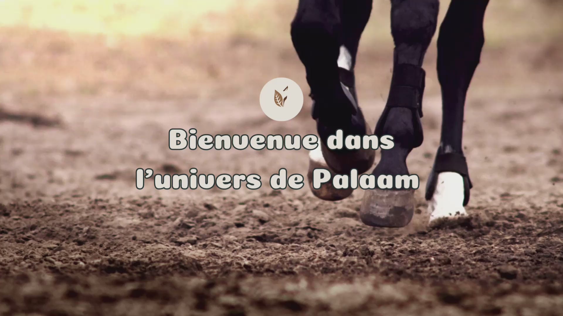 Charger la vidéo : Bienvenue dans l&#39;univers de Palaam, une marque artisanale luxembourgeoise de produits de soins naturels pour veiller au bon maintien de l&#39;appareil locomoteur et soutenir la transition pieds nus de votre cheval.