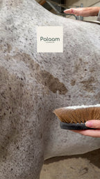 Pépite - Shampoing sec et détachant pour chevaux